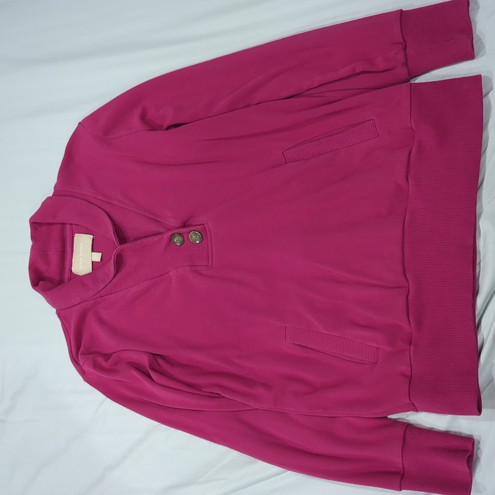 Banana Republic Collared Sweatshirt
